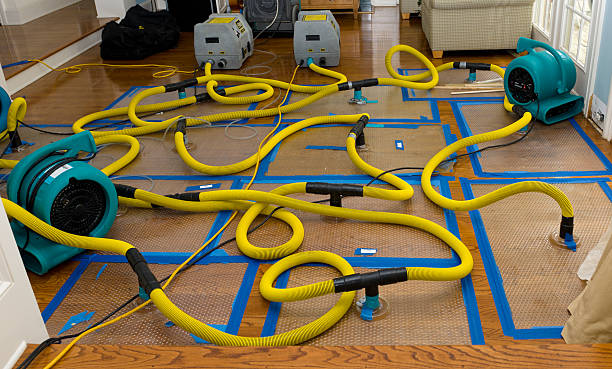 Professional Flood Damage Restoration technician working in Depew, NY